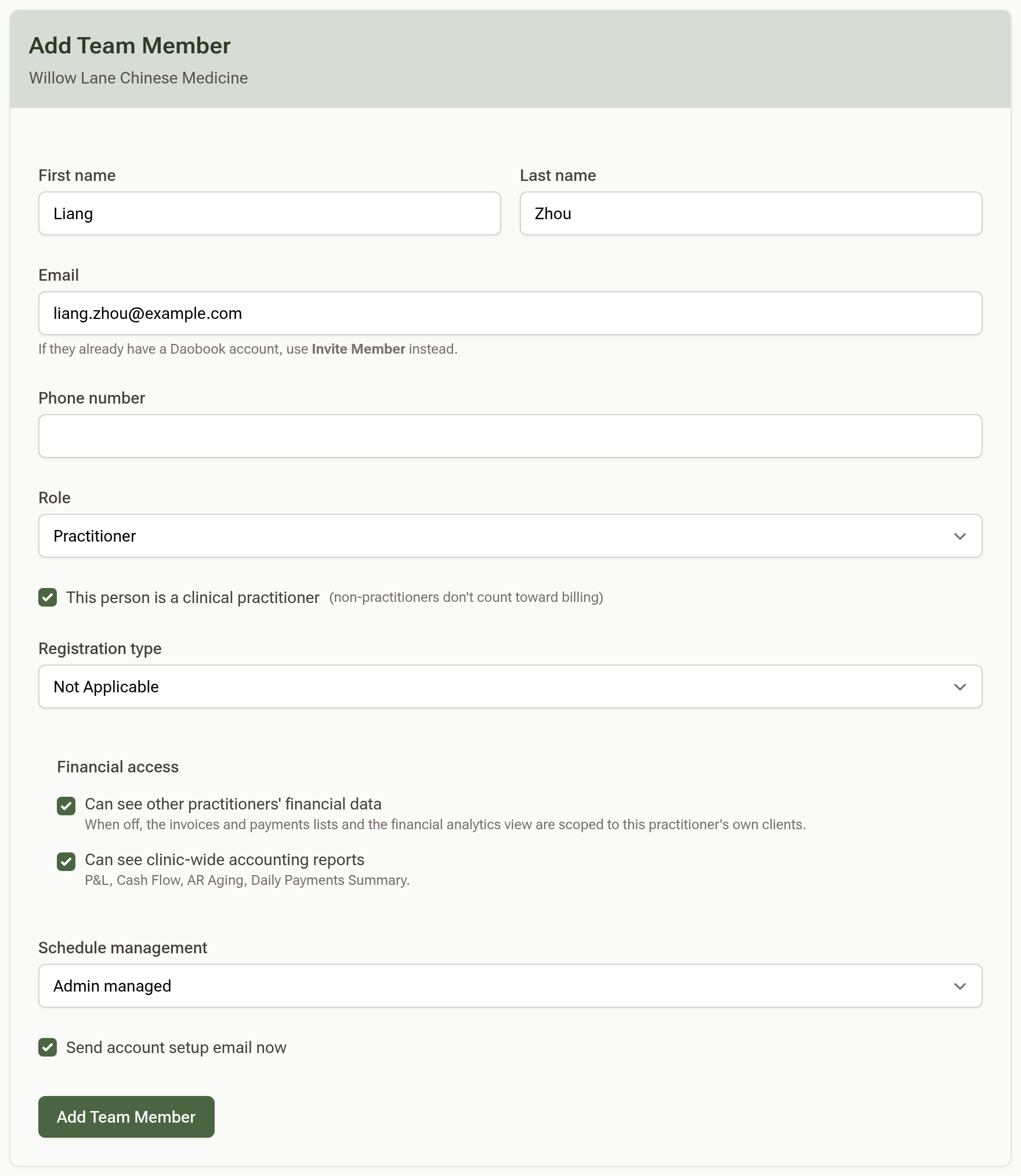 The Add Team Member form with the Role select, the This person is a clinical practitioner checkbox, the registration fields and the Send account setup email now checkbox