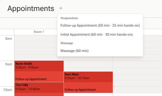 The plus button next to the Appointments heading with its type picker open, listing appointment types grouped by category with their durations and hands-on times, such as Follow-up Appointment 50 min, 25 min hands-on